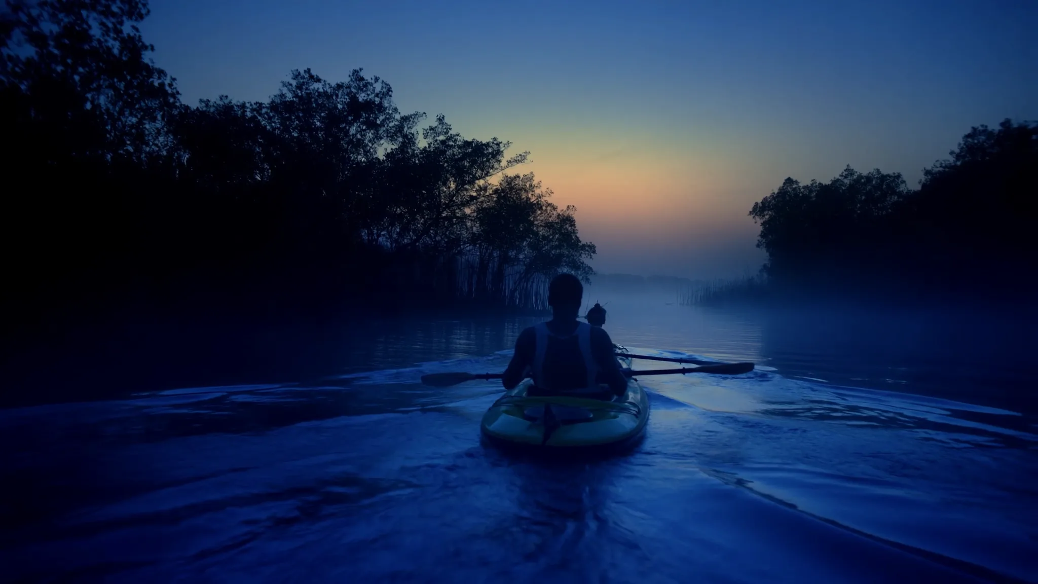Kayakers in the Chorao mangroves